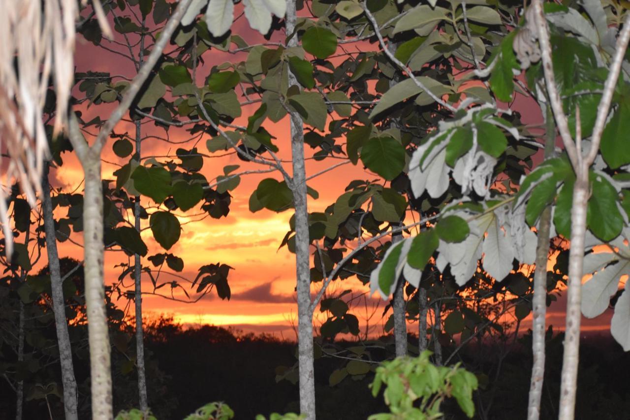 Hidden Haven Hostel Unitedville Luaran gambar