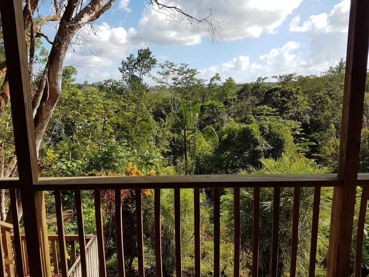 Hidden Haven Hostel Unitedville Luaran gambar