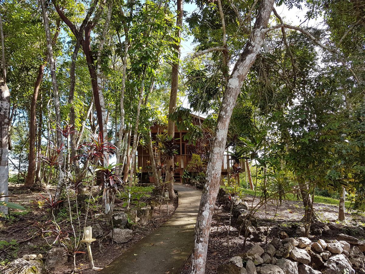 Hidden Haven Hostel Unitedville Luaran gambar