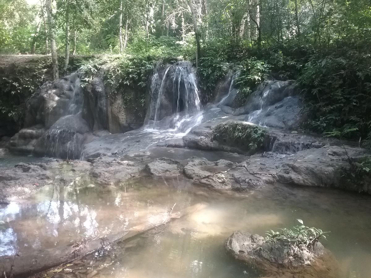 Hidden Haven Hostel Unitedville Luaran gambar