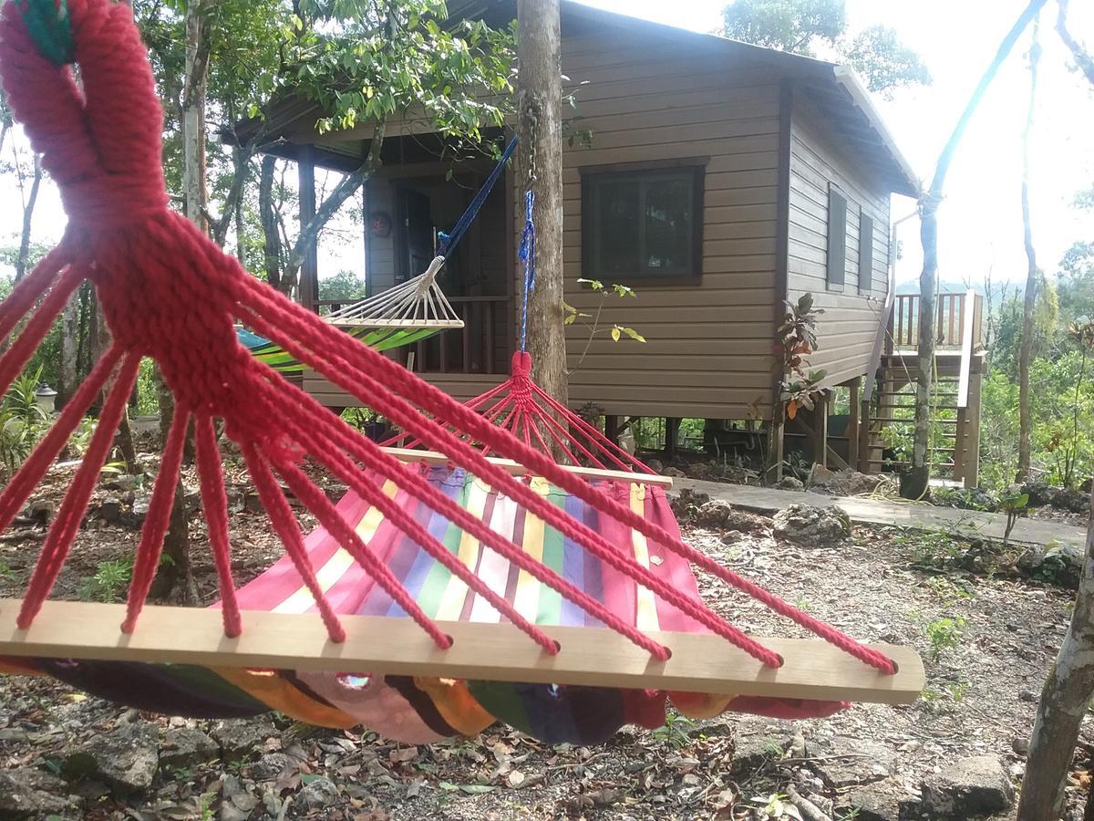 Hidden Haven Hostel Unitedville Luaran gambar