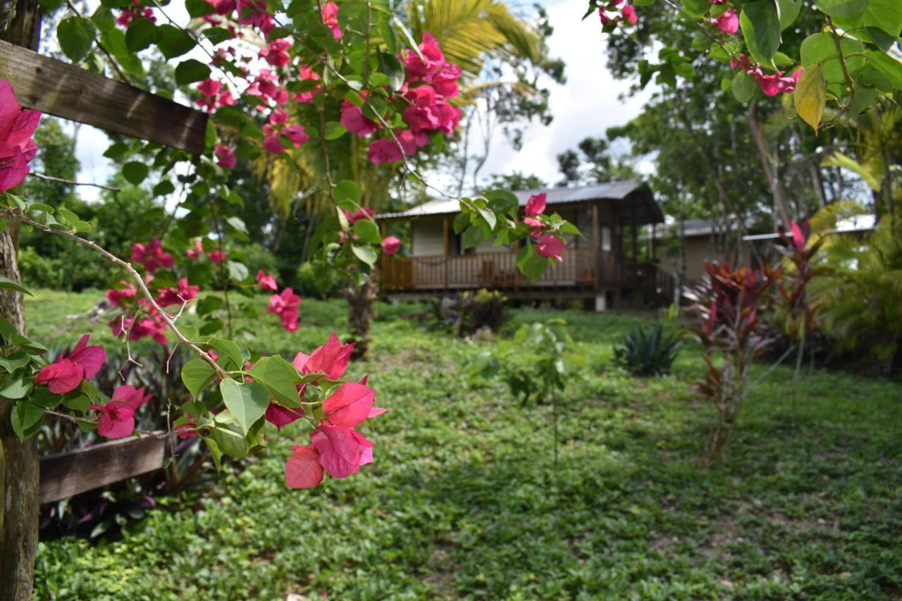 Hidden Haven Hostel Unitedville Luaran gambar